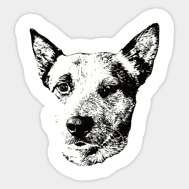 Australian cattle new arrivals dog merchandise